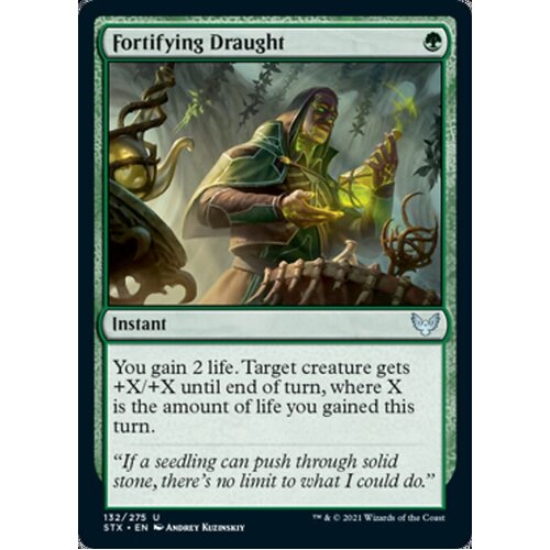 Fortifying Draught - STX