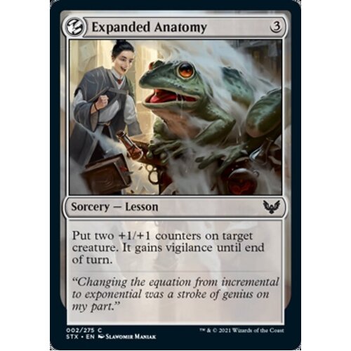 Expanded Anatomy FOIL - STX