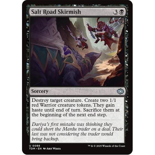 Salt Road Skirmish - TDM