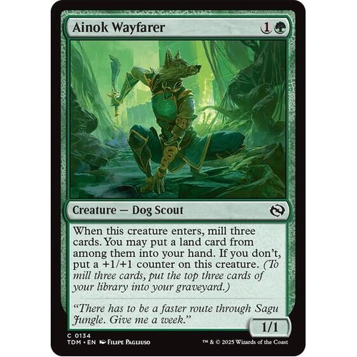 Ainok Wayfarer FOIL - TDM