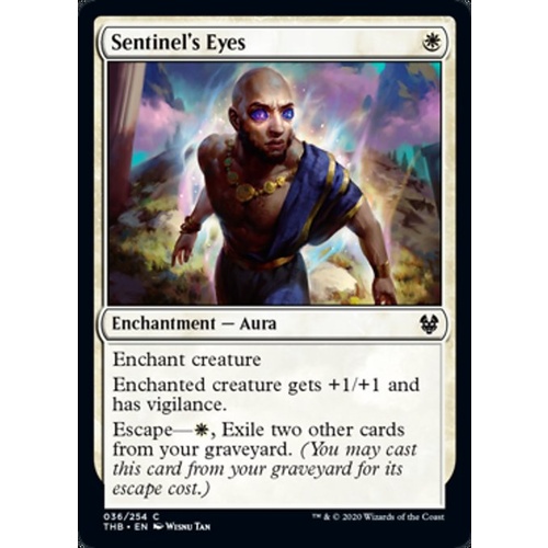 Sentinel's Eyes - THB