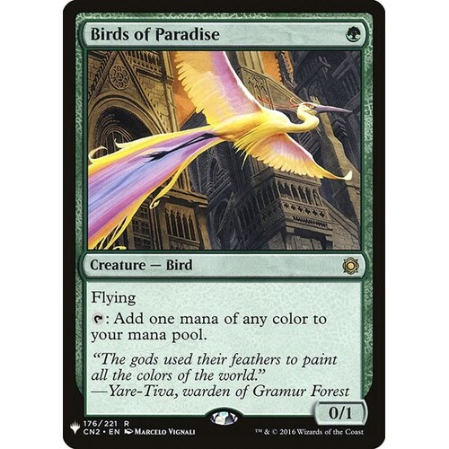 Birds of Paradise - TLP
