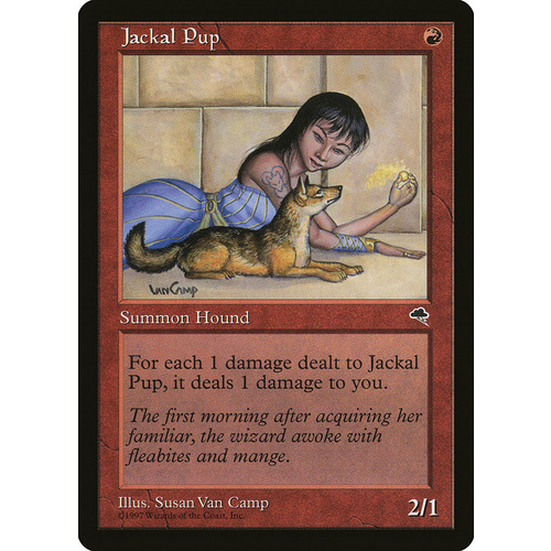 Jackal Pup - TMP