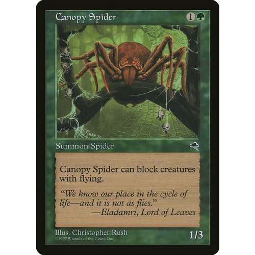 Canopy Spider - TMP