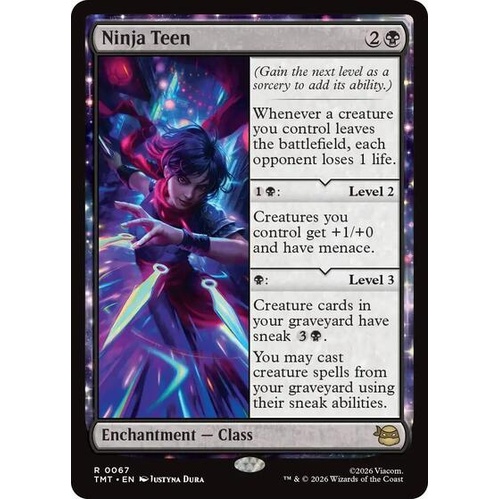 Ninja Teen - TMT