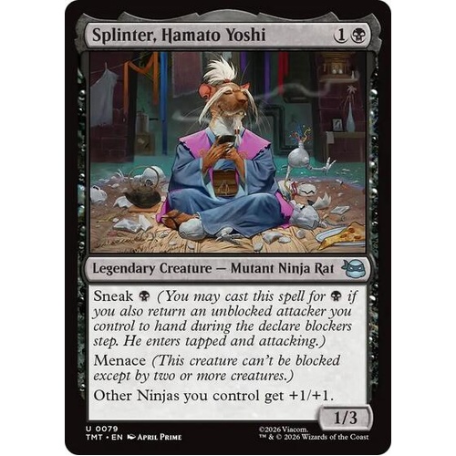 Splinter, Hamato Yoshi - TMT