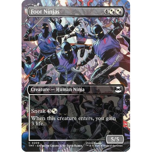 Foot Ninjas (Borderless) - TMT