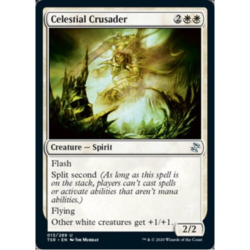 Celestial Crusader - TSR