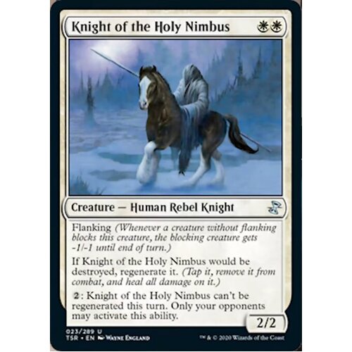 Knight of the Holy Nimbus - TSR