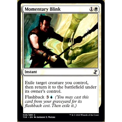 Momentary Blink - TSR