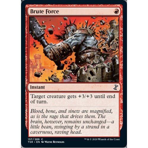 Brute Force - TSR