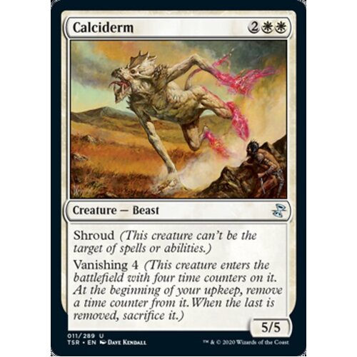 Calciderm FOIL - TSR