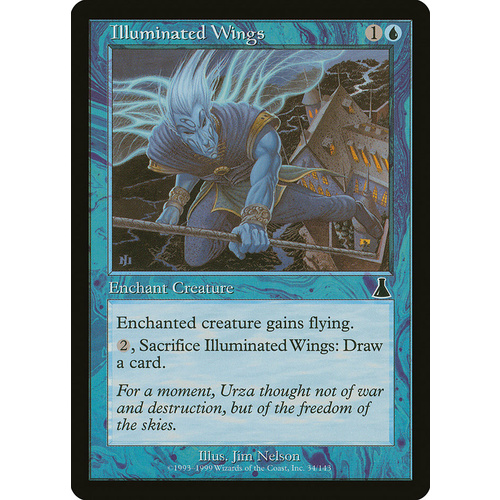Illuminated Wings - UDS