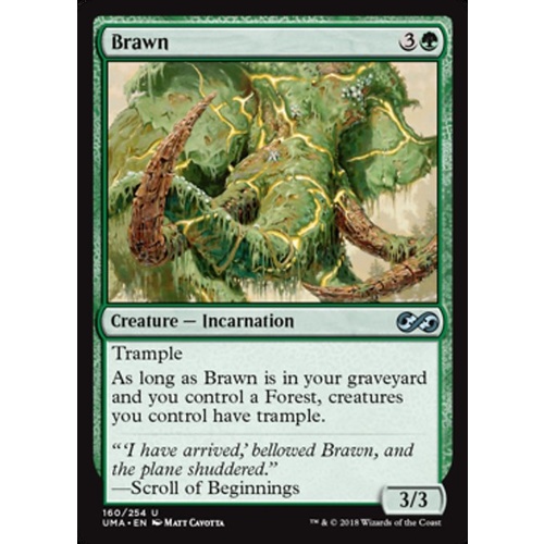 Brawn FOIL - UMA