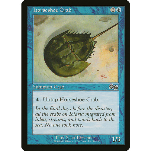 Horseshoe Crab - USG