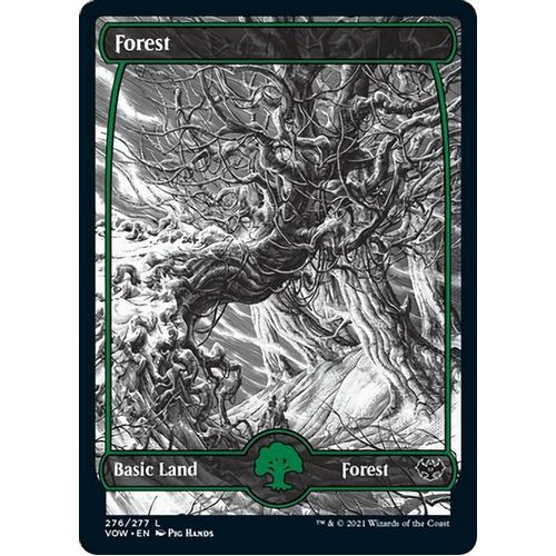Forest 276 - VOW