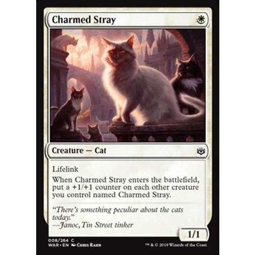 Charmed Stray - WAR