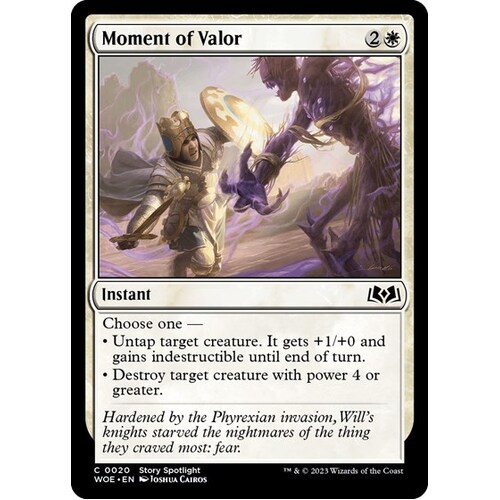 Moment of Valor - WOE