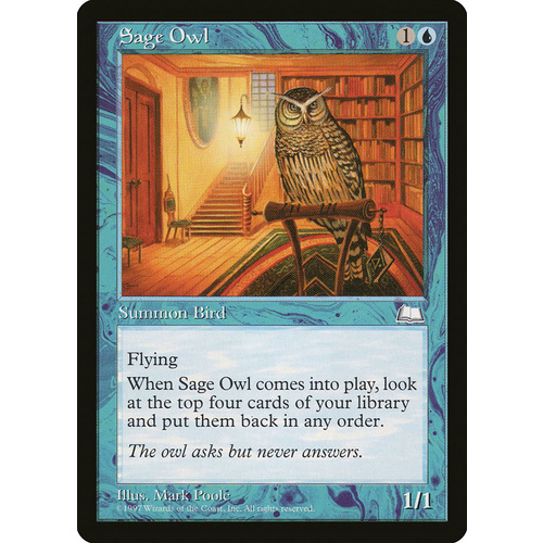 Sage Owl - WTH