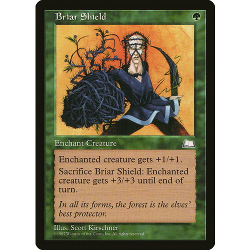 Briar Shield - WTH