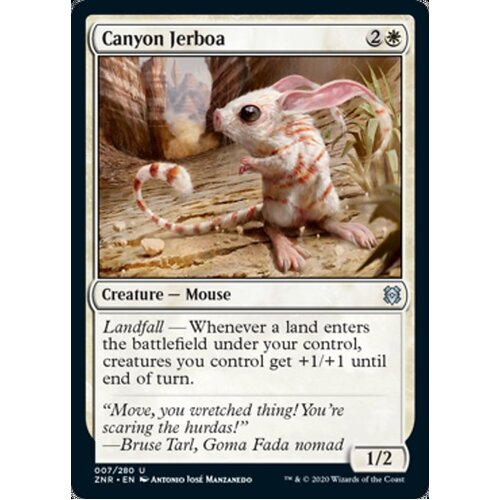 Canyon Jerboa - ZNR