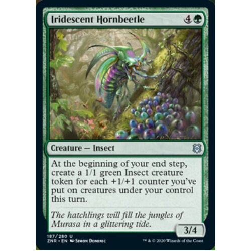 Iridescent Hornbeetle - ZNR
