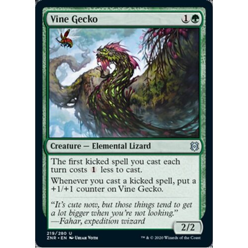 Vine Gecko - ZNR