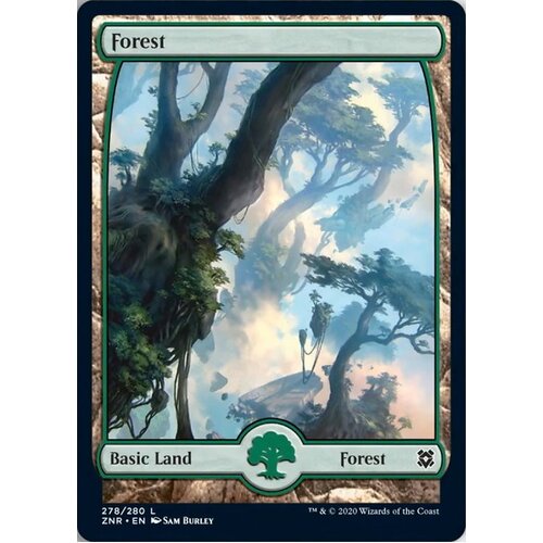 Forest (278) - ZNR