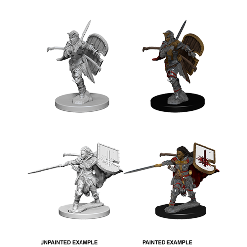 Pathfinder Deep Cuts: Unpainted Miniatures - Human Female Paladin