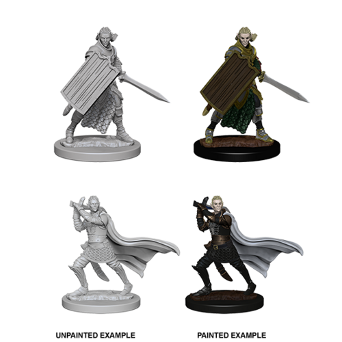 Pathfinder Deep Cuts: Unpainted Miniatures - Elf Male Paladin