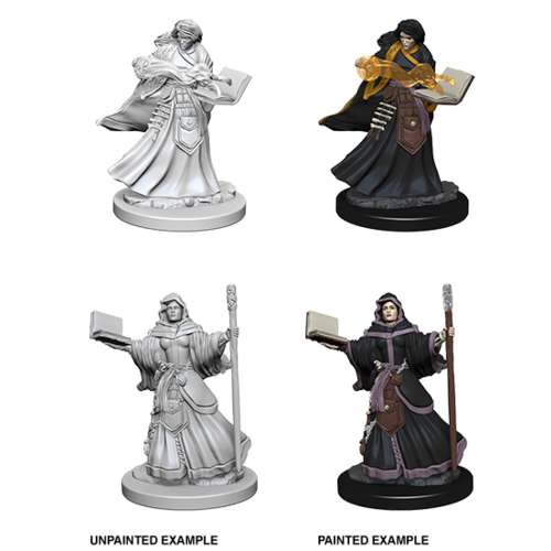 D&D Nolzurs Marvelous Unpainted Miniatures - Human Female Wizard