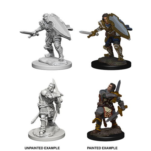 D&D Nolzurs Marvelous Unpainted Miniatures - Human Male Paladin