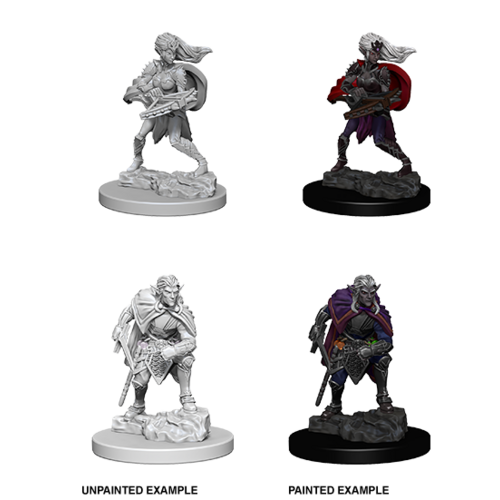 D&D Nolzurs Marvelous Unpainted Miniatures - Drow