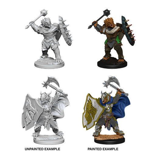 D&D Nolzurs Marvelous Unpainted Miniatures - Dragonborn Male Paladin