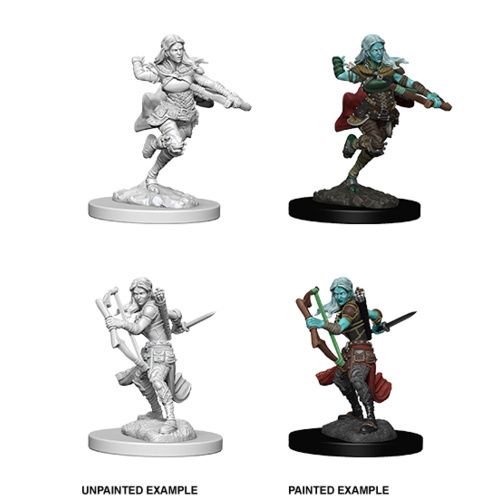 D&D Nolzur's Marvelous Miniatures Air Genasi Rogue
