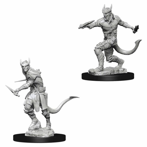 D&D Nolzur's Marvelous Miniatures Male Tiefling Rogue