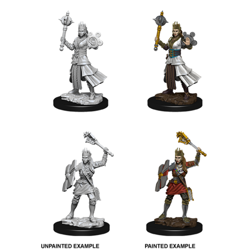 D&D Nolzurs Marvelous Unpainted Miniatures - Human Female Cleric
