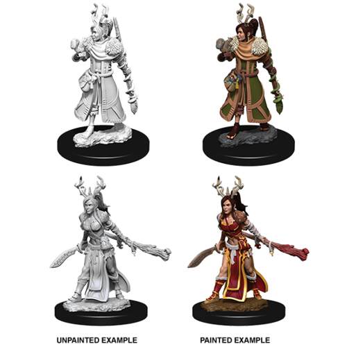 D&D Nolzurs Marvelous Unpainted Miniatures - Human Female Druid v2
