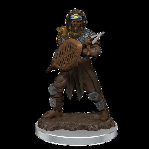 D&D Premium Painted Figures - Male Human Fighter